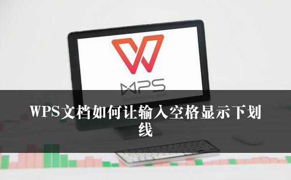 WPS文档如何让输入空格显示下划线