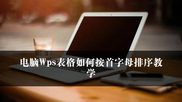 电脑Wps表格如何按首字母排序教学