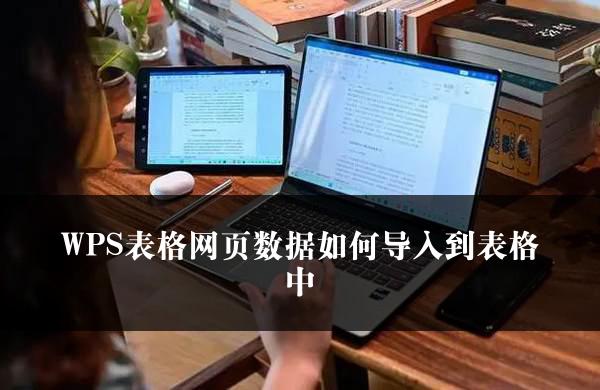 WPS表格网页数据如何导入到表格中