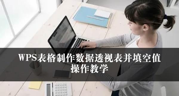 WPS表格制作数据透视表并填空值操作教学