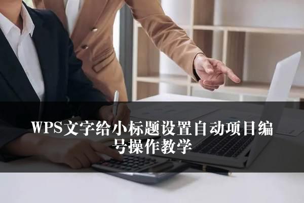 WPS文字给小标题设置自动项目编号操作教学