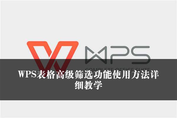 WPS表格高级筛选功能使用方法详细教学