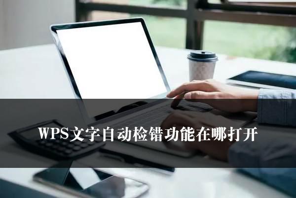 WPS文字自动检错功能在哪打开