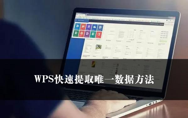 WPS快速提取唯一数据方法