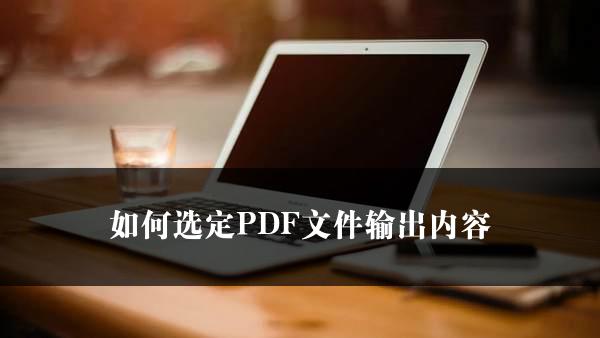 如何选定PDF文件输出内容