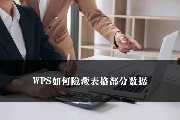 WPS如何隐藏表格部分数据