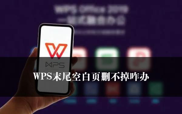 WPS末尾空白页删不掉咋办