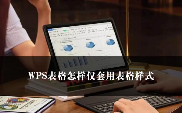 WPS表格怎样仅套用表格样式