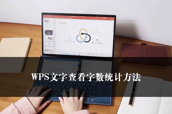 WPS文字查看字数统计方法