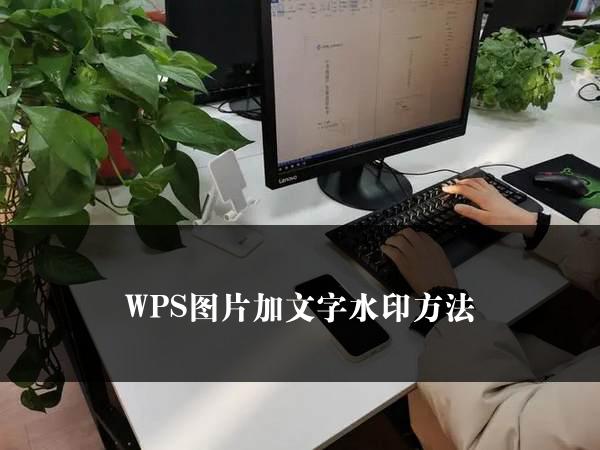 WPS图片加文字水印方法