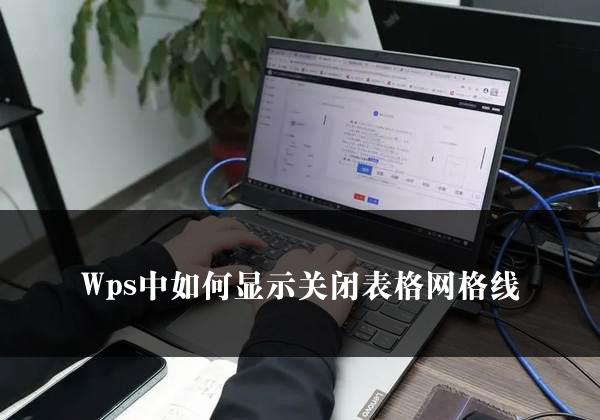 Wps中如何显示关闭表格网格线