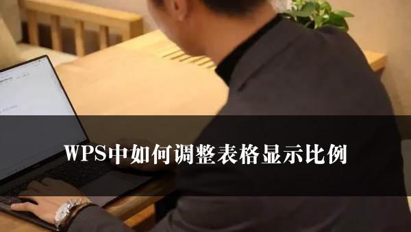 WPS中如何调整表格显示比例