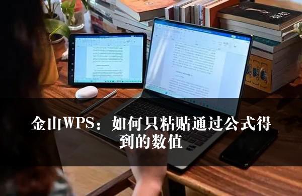 金山WPS：如何只粘贴通过公式得到的数值