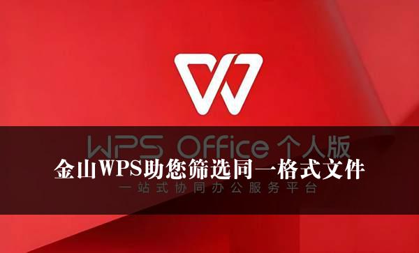 金山WPS助您筛选同一格式文件