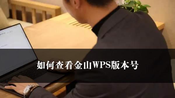 如何查看金山WPS版本号