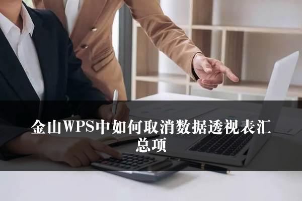 金山WPS中如何取消数据透视表汇总项