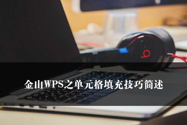 金山WPS之单元格填充技巧简述