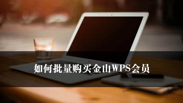 如何批量购买金山WPS会员