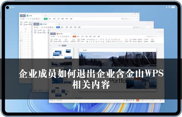 企业成员如何退出企业含金山WPS相关内容