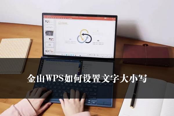 金山WPS如何设置文字大小写