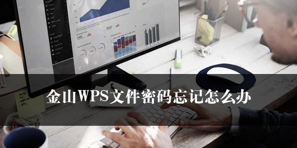 金山WPS文件密码忘记怎么办