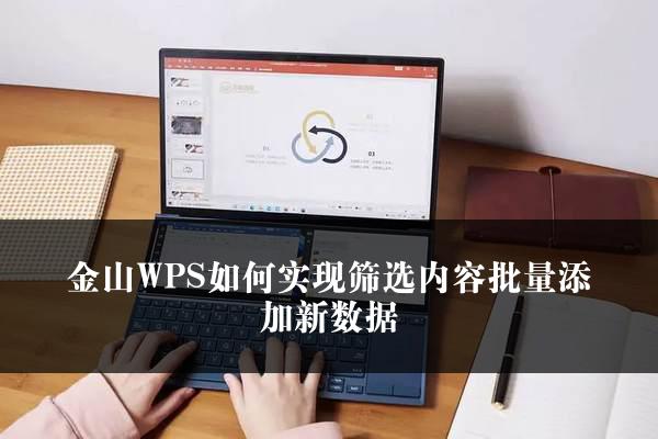 金山WPS如何实现筛选内容批量添加新数据