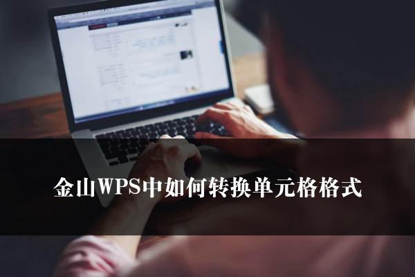 金山WPS中如何转换单元格格式