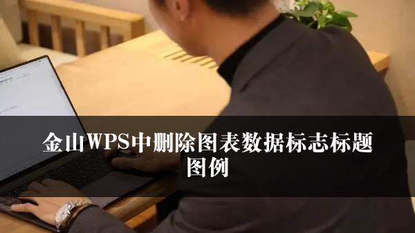 金山WPS中删除图表数据标志标题图例