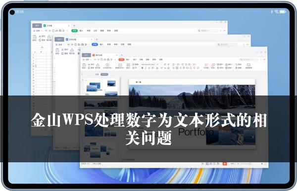 金山WPS处理数字为文本形式的相关问题