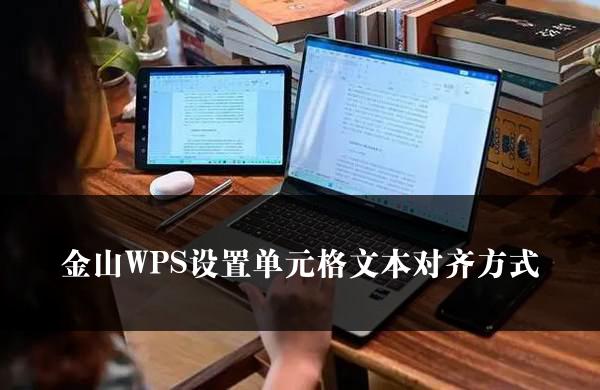 金山WPS设置单元格文本对齐方式