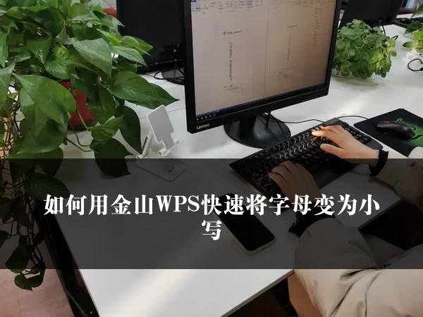 如何用金山WPS快速将字母变为小写