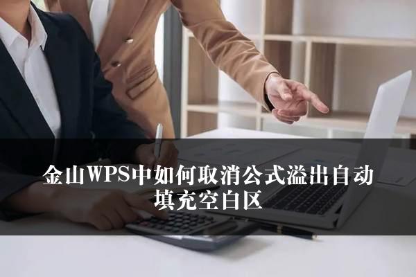 金山WPS中如何取消公式溢出自动填充空白区