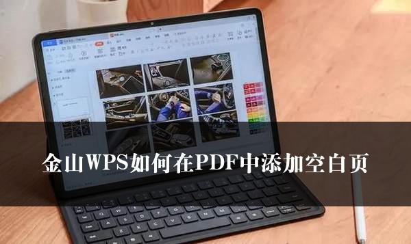 金山WPS如何在PDF中添加空白页