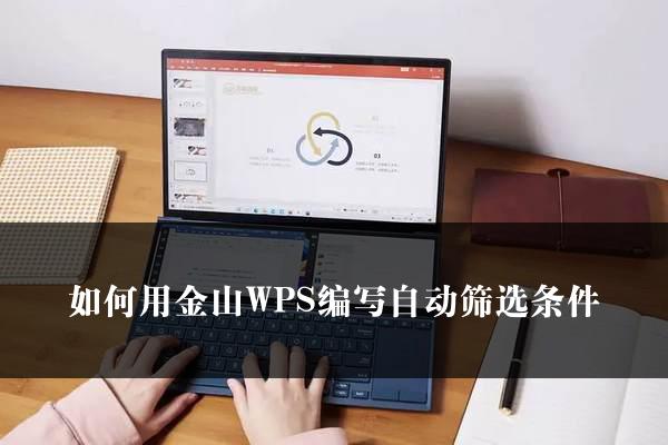 如何用金山WPS编写自动筛选条件