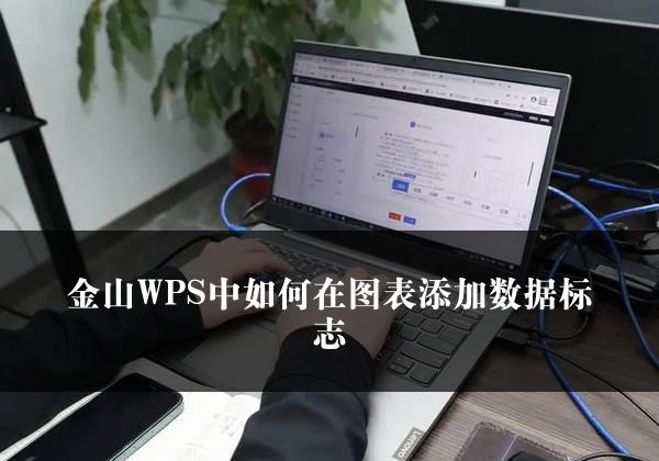 金山WPS中如何在图表添加数据标志