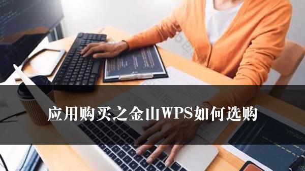 应用购买之金山WPS如何选购