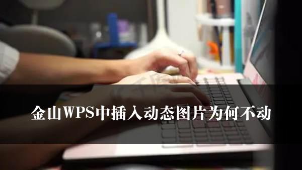 金山WPS中插入动态图片为何不动