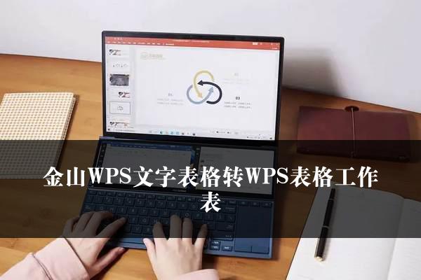 金山WPS文字表格转WPS表格工作表