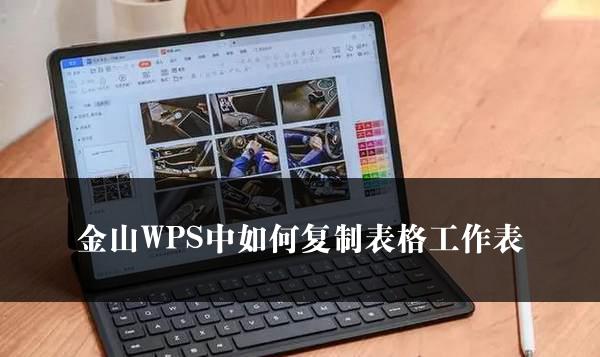 金山WPS中如何复制表格工作表