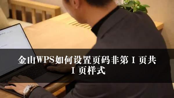 金山WPS如何设置页码非第Ⅰ页共Ⅰ页样式