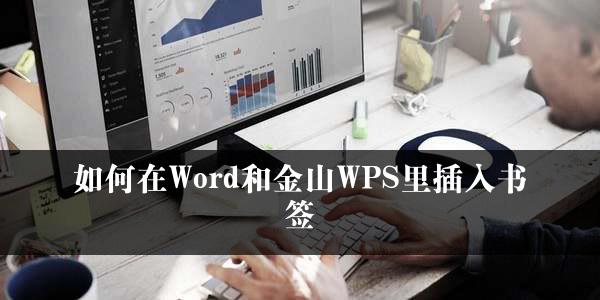 如何在Word和金山WPS里插入书签