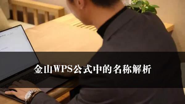 金山WPS公式中的名称解析