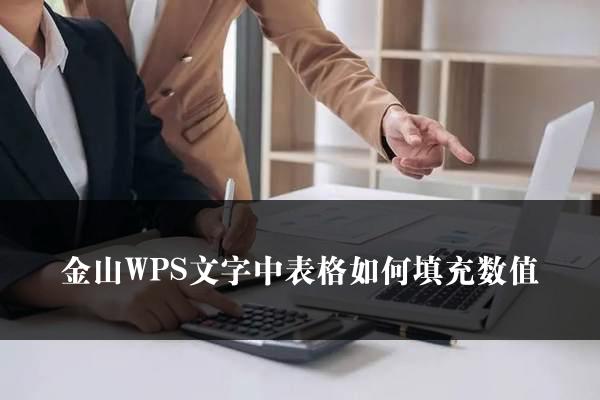 金山WPS文字中表格如何填充数值