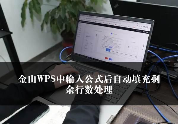 金山WPS中输入公式后自动填充剩余行数处理