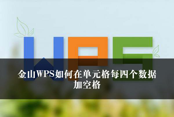 金山WPS如何在单元格每四个数据加空格