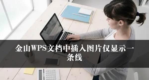 金山WPS文档中插入图片仅显示一条线