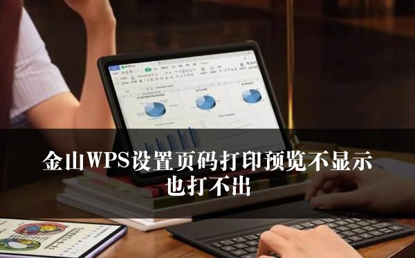 金山WPS设置页码打印预览不显示也打不出