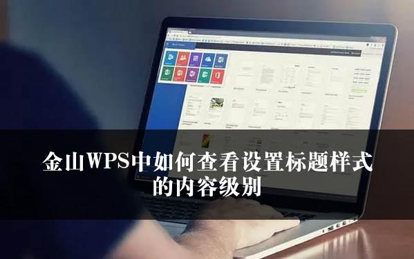 金山WPS中如何查看设置标题样式的内容级别