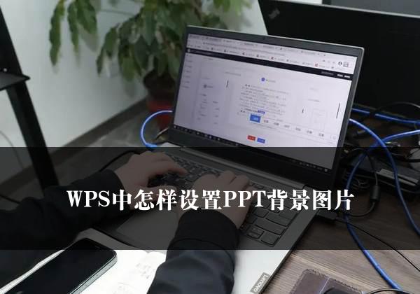 WPS中怎样设置PPT背景图片