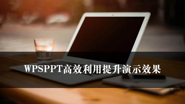 WPSPPT高效利用提升演示效果